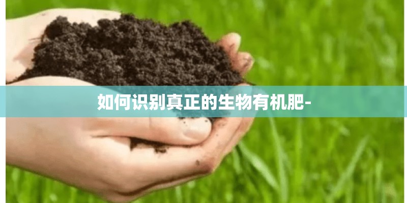 华晨宝马和德国宝马差距有多大？