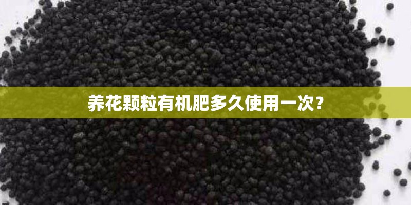 多啦A梦与绿巨人简介