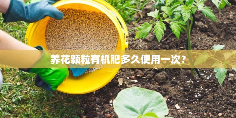 湖北鑫希望生态农业苍术种植的技术要领有哪些？