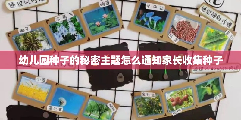 幼儿园种子的秘密主题怎么通知家长收集种子