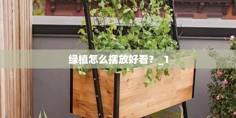 绿植怎么摆放好看？_1