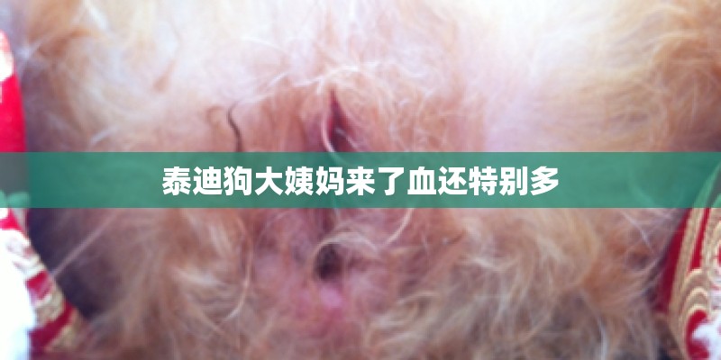童装照片
