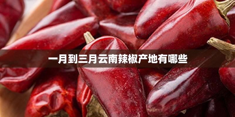 一月到三月云南辣椒产地有哪些