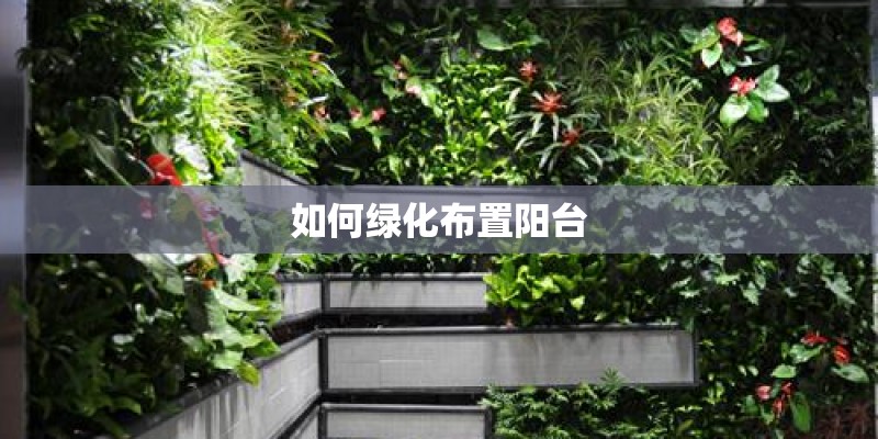 如何绿化布置阳台