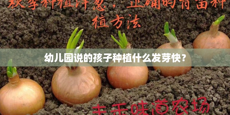 幼儿园说的孩子种植什么发芽快？