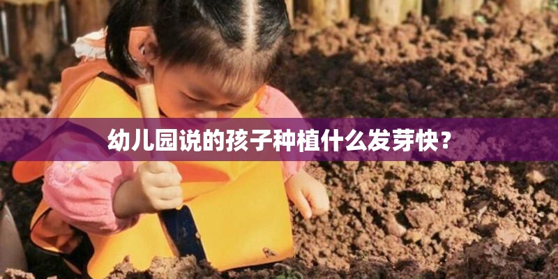 幼儿园说的孩子种植什么发芽快？