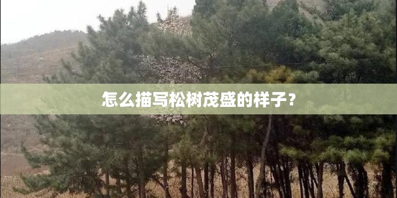 怎么描写松树茂盛的样子？