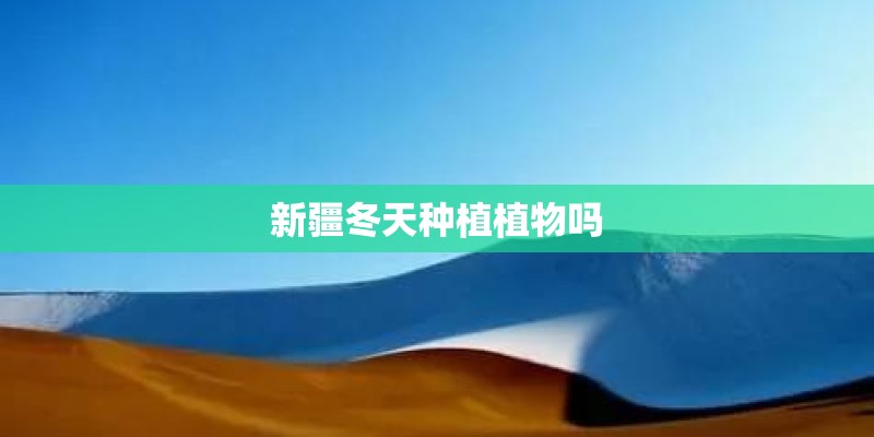 新疆冬天种植植物吗