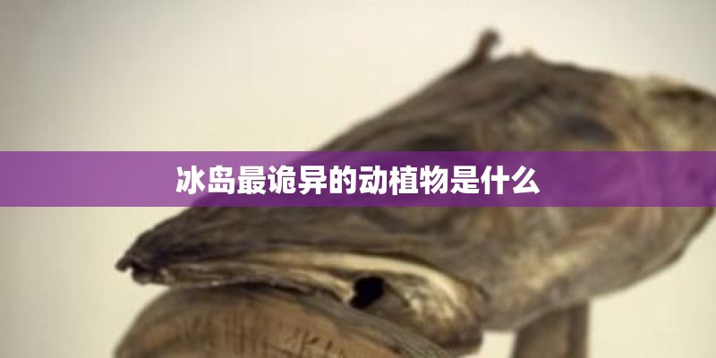 冰岛最诡异的动植物是什么