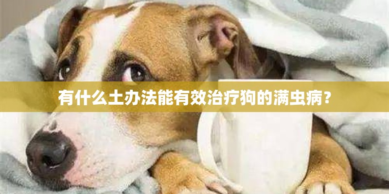 有什么土办法能有效治疗狗的满虫病？