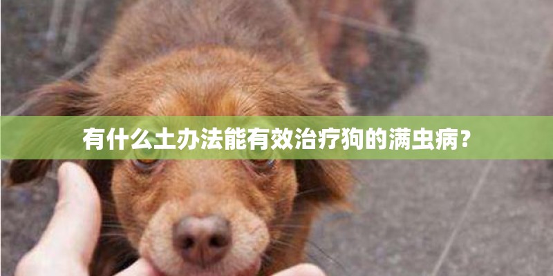 有什么土办法能有效治疗狗的满虫病？