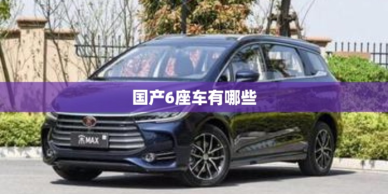 国产6座车有哪些