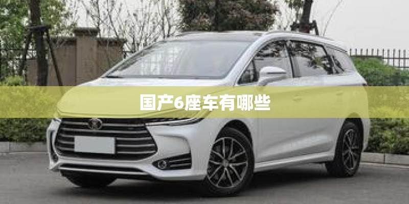 国产6座车有哪些