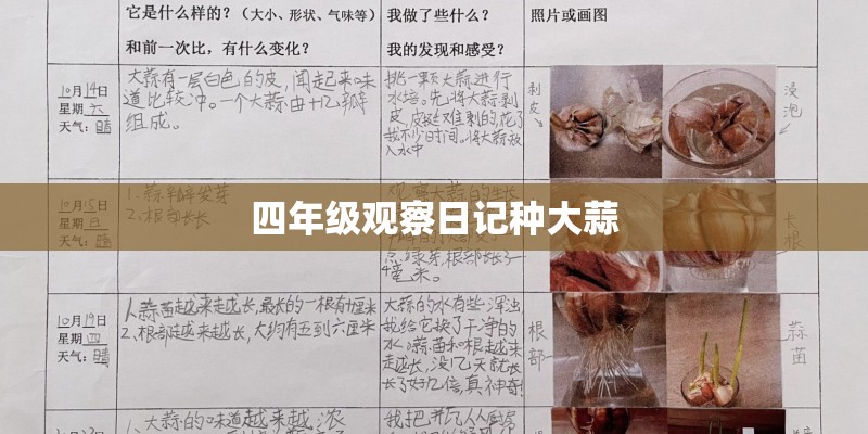 求助！我家小泰迪今天打完第一针疫苗 回来以后总拉稀 都是黄水 拉完了它还总想喝水吃东西 怎么办呀？