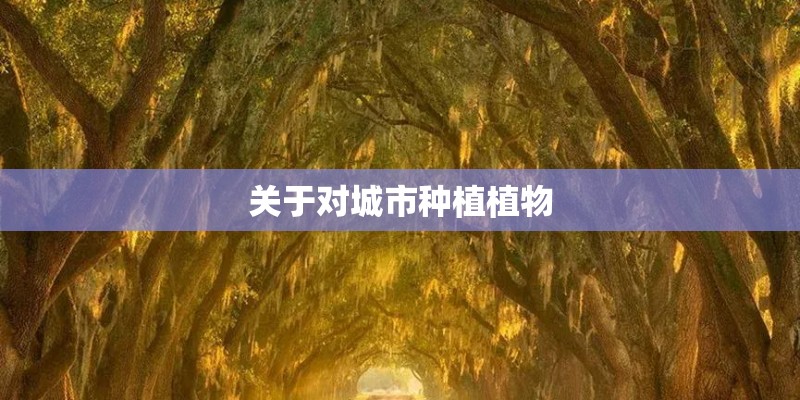 我的狗狗叫的嗓子哑了怎么办？