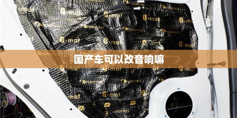 国产车可以改音响嘛