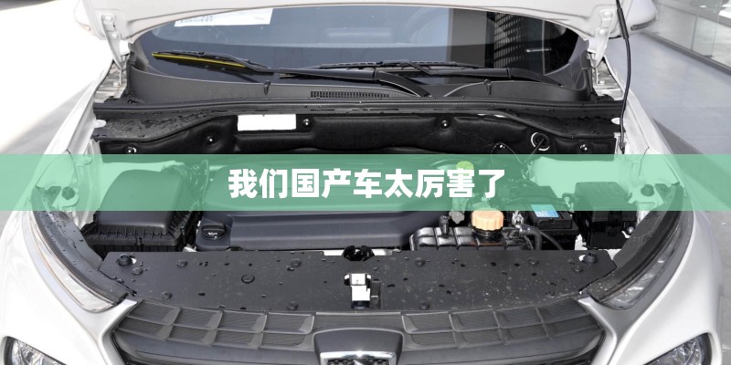 我们国产车太厉害了
