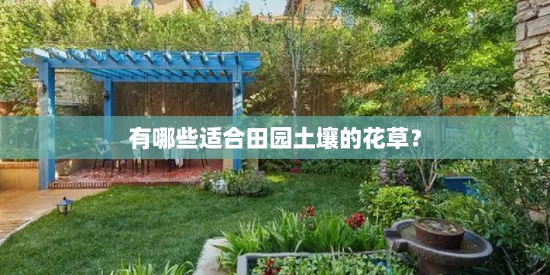 有哪些适合田园土壤的花草？