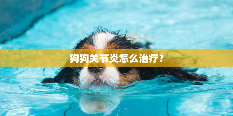 狗狗关节炎怎么治疗？