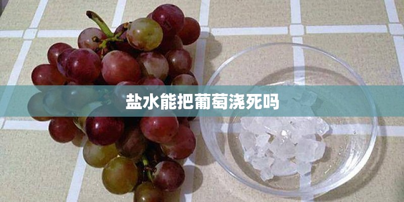 盐水能把葡萄浇死吗