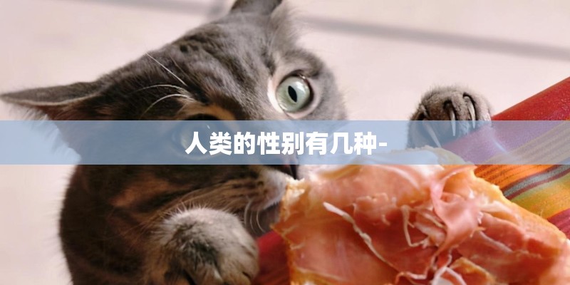 人类的性别有几种-