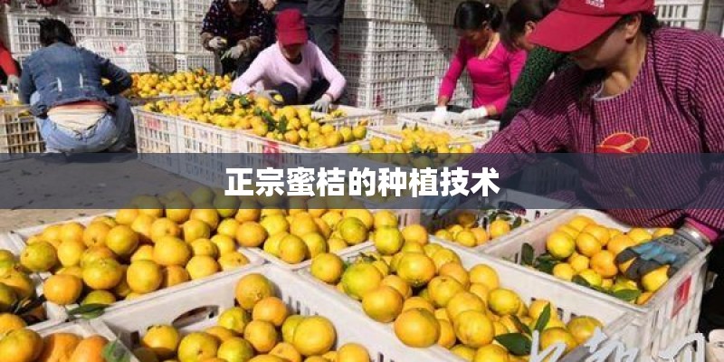 火花塞多久更换一次？