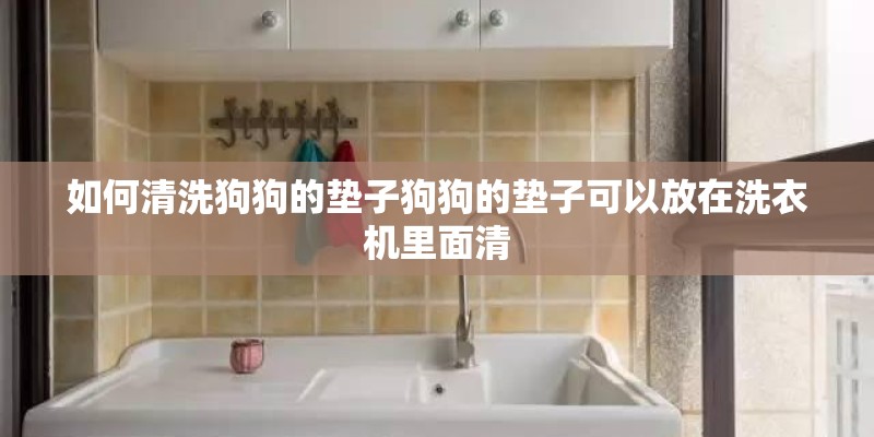 如何清洗狗狗的垫子狗狗的垫子可以放在洗衣机里面清