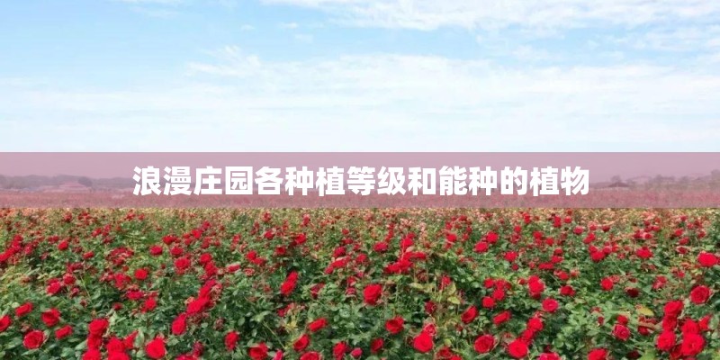 浪漫庄园各种植等级和能种的植物
