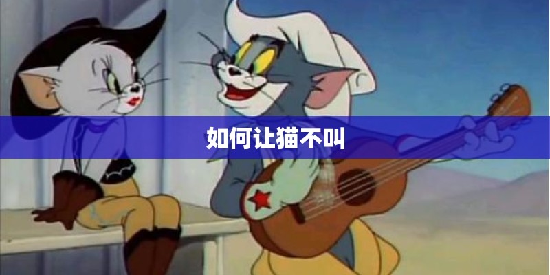 如何让猫不叫