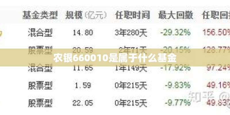 农银660010是属于什么基金