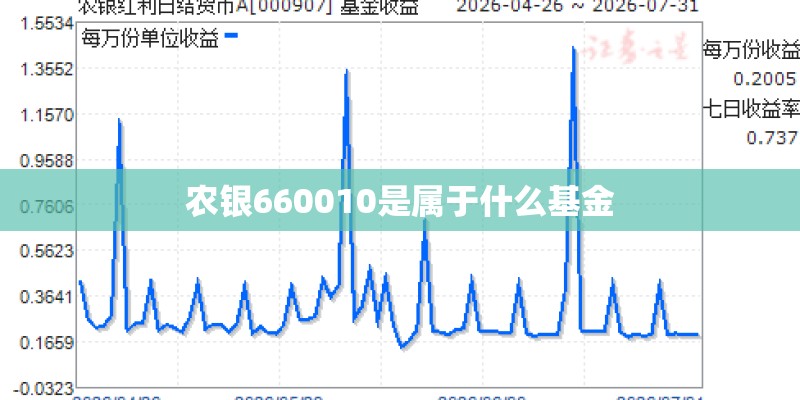 农银660010是属于什么基金