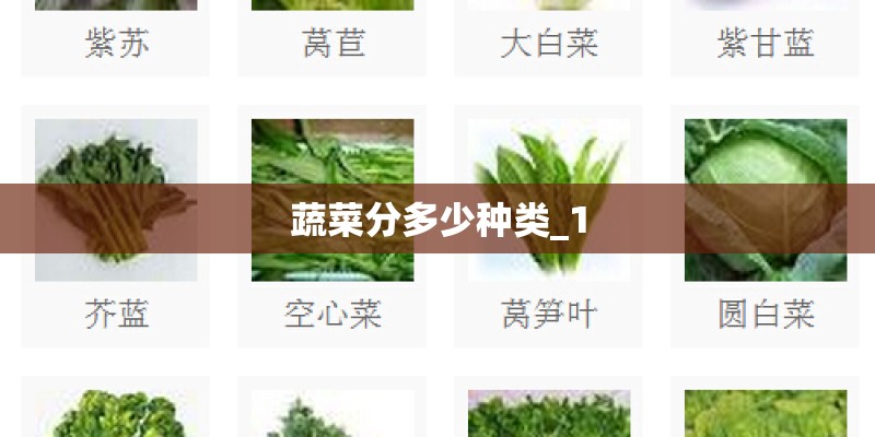 蔬菜分多少种类_1