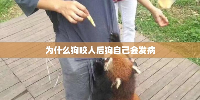 为什么狗咬人后狗自己会发病 为什么狗咬人后狗自己会发病