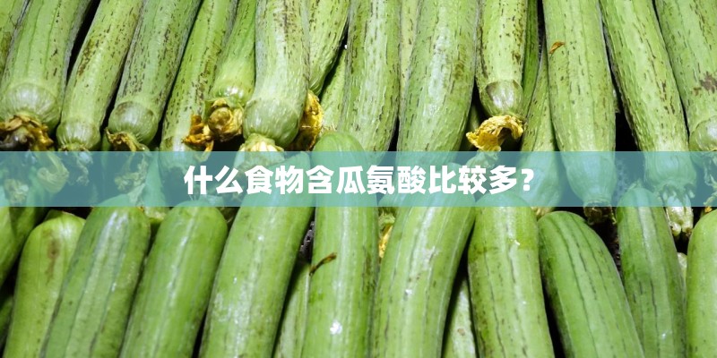 什么食物含瓜氨酸比较多？
