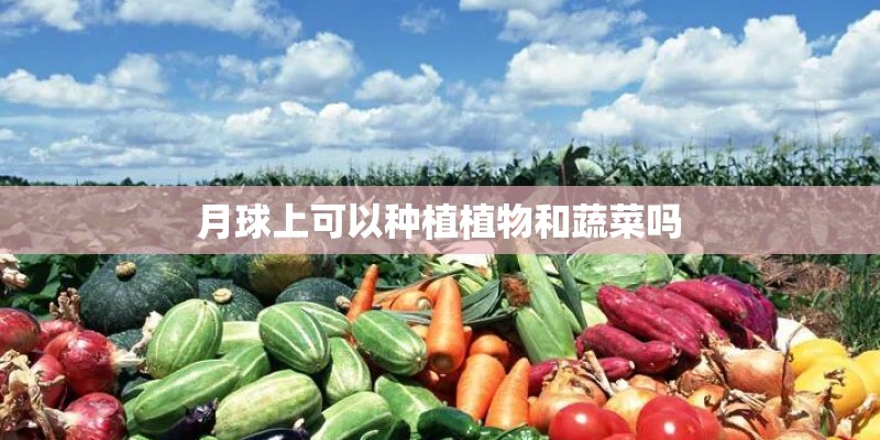 月球上可以种植植物和蔬菜吗 月球上可以种植植物和蔬菜吗