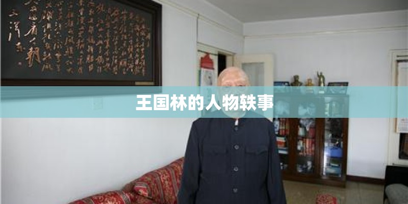 王国林的人物轶事