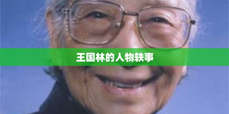 王国林的人物轶事