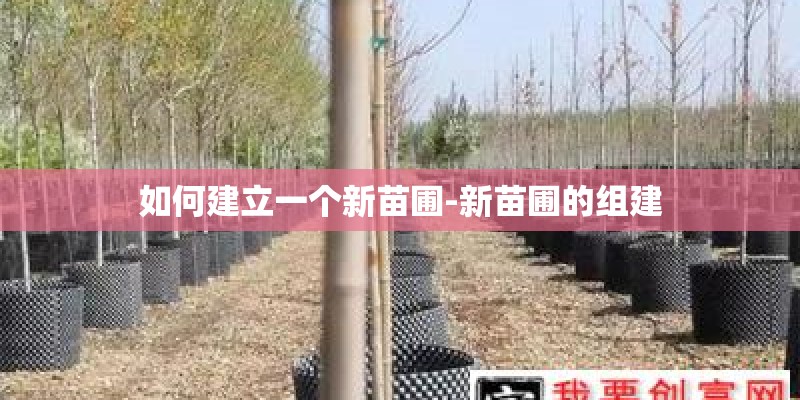 如何建立一个新苗圃-新苗圃的组建 如何建立一个新苗圃-新苗圃的组建