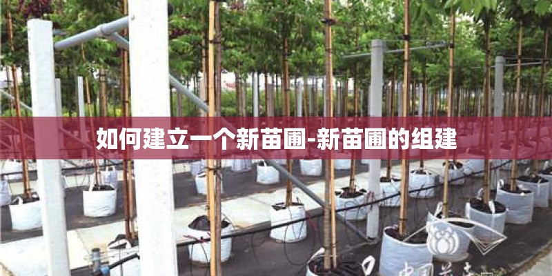 如何建立一个新苗圃-新苗圃的组建 如何建立一个新苗圃-新苗圃的组建