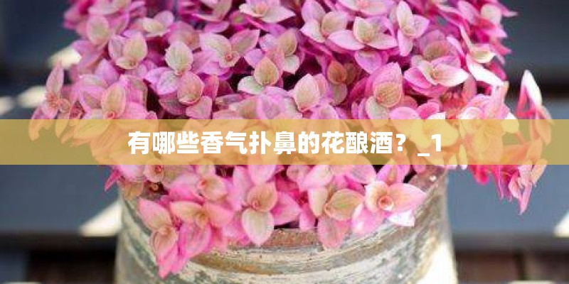 有哪些香气扑鼻的花酿酒？_1