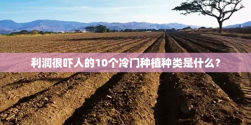 利润很吓人的10个冷门种植种类是什么？