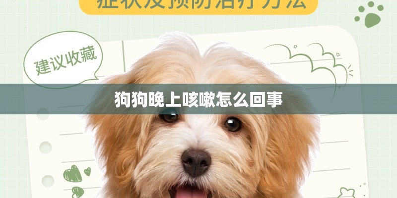 狗狗晚上咳嗽怎么回事