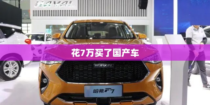 花7万买了国产车