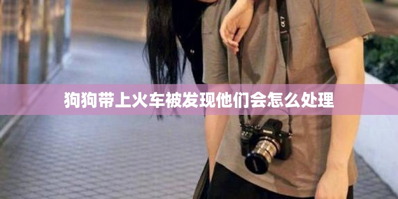 狗狗带上火车被发现他们会怎么处理