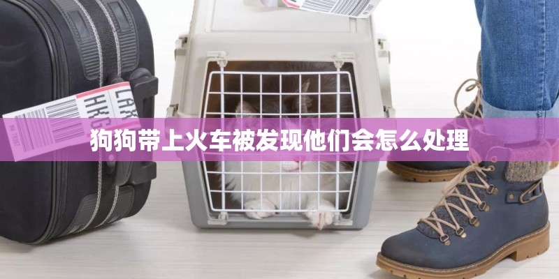 狗狗带上火车被发现他们会怎么处理