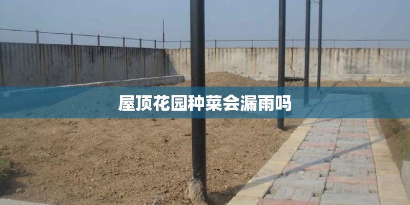 屋顶花园种菜会漏雨吗