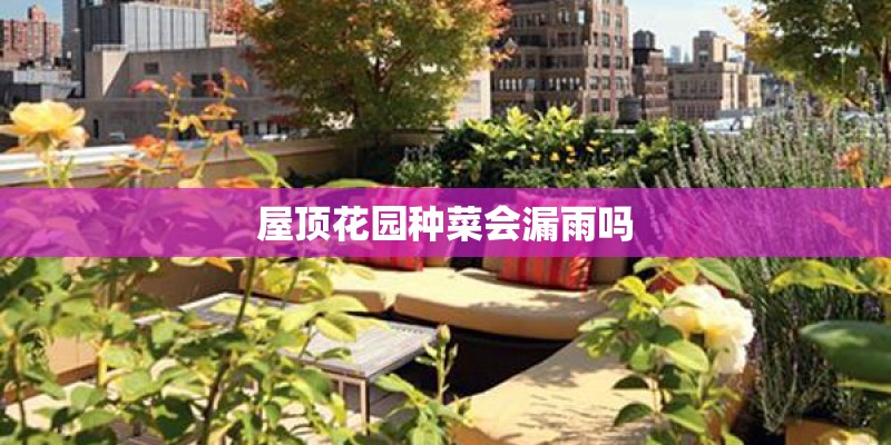 屋顶花园种菜会漏雨吗