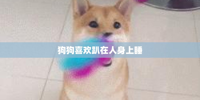 狗狗喜欢趴在人身上睡