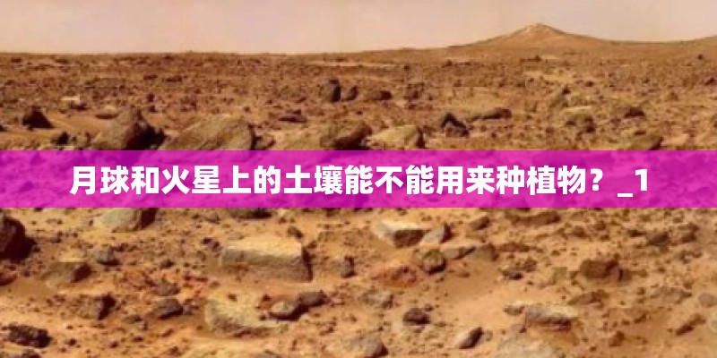 月球和火星上的土壤能不能用来种植物？_1