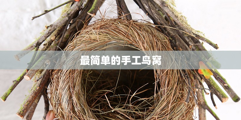 最简单的手工鸟窝